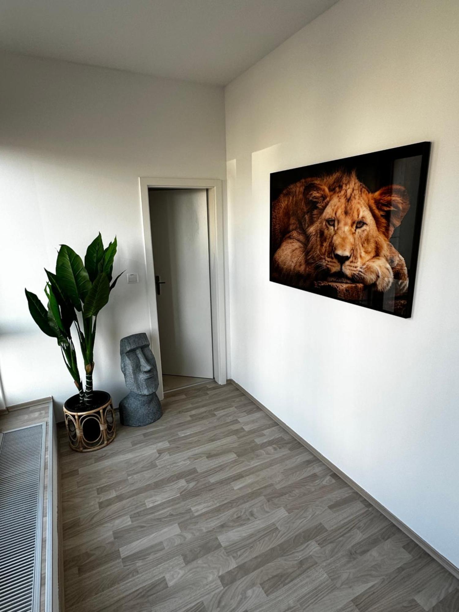 브라티슬라바 Luxury Penthouse At The Historical Centre With Free Parking 아파트 외부 사진